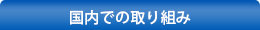 国内での取り組み